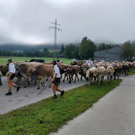 Διαμέρισμα Wertachliebe