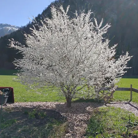Alpenflair * Wertach