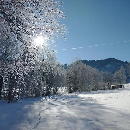 Wertachliebe Lejlighed Wertach
