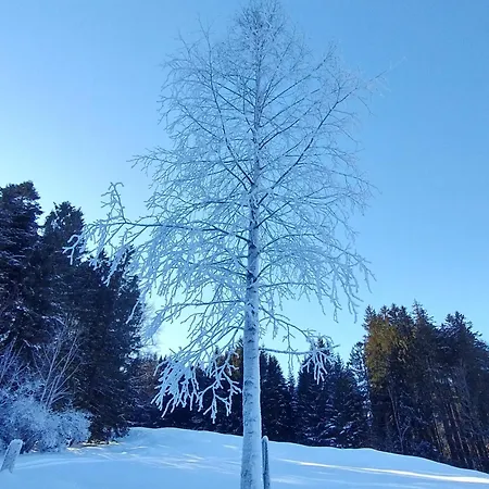 Lejlighed Wertachliebe *
